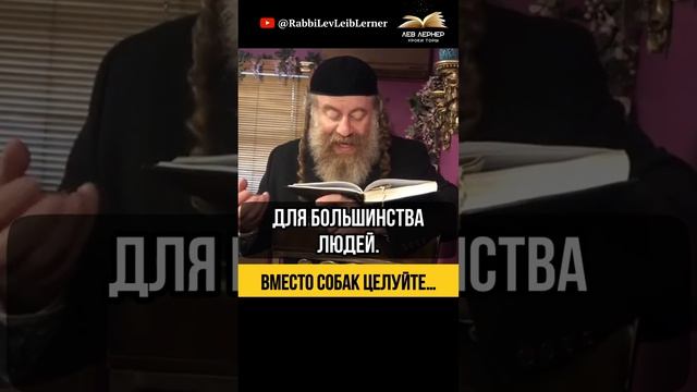 Вместо собак целуйте… 💧 Какая вода подходит для омовения рук?