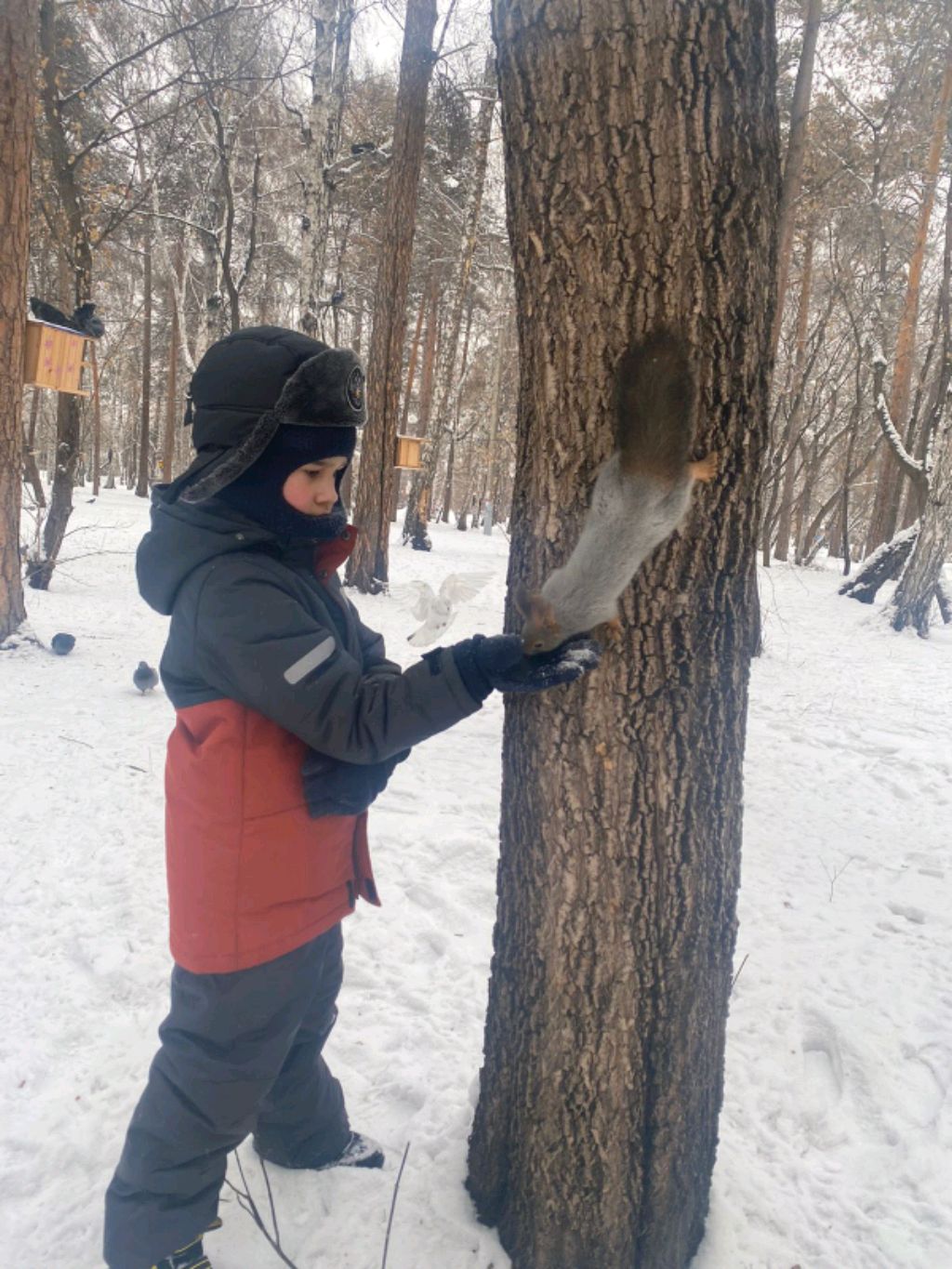 транслация с Егором