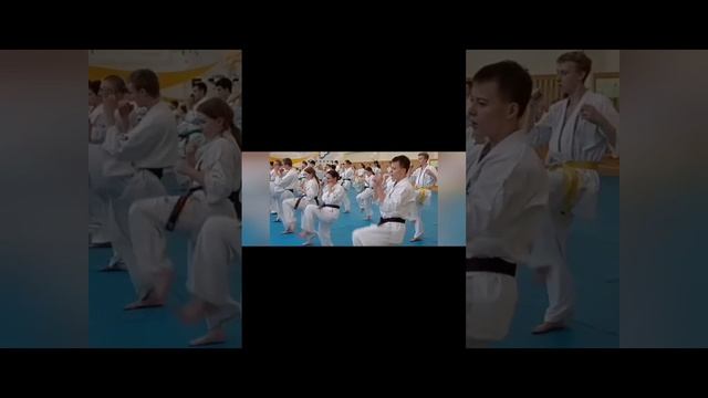 #каратекиокушинкай