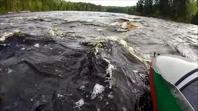 Сплав по реке Шуя с 30.05.2015 г. по 03.06.2015 г.
