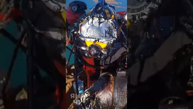 Так выглядят водолазы после погружения в море с мазутом.