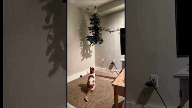 Думали не достану?