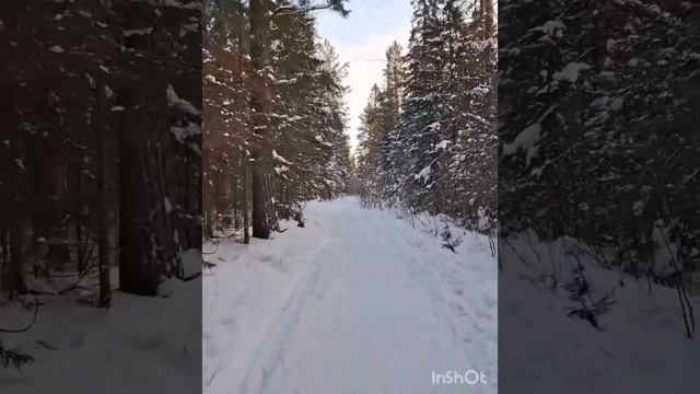 КАКИЕ ЧУДЕСНЫЕ РОДНЫЕ ПРОСТОРЫ В НОВОГОДНИЕ КАНИКУЛЫ 2025