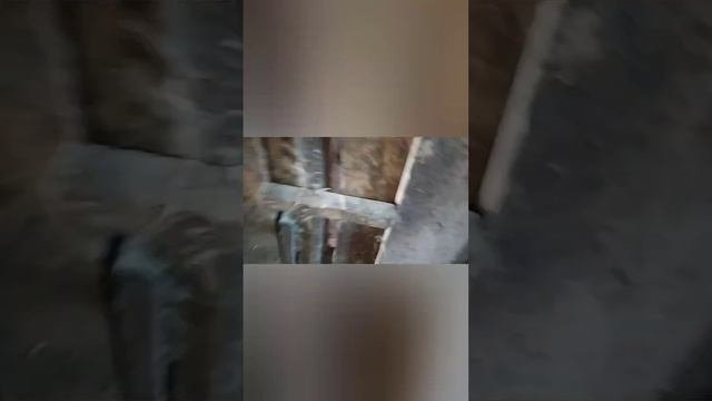 Это интересно!!!