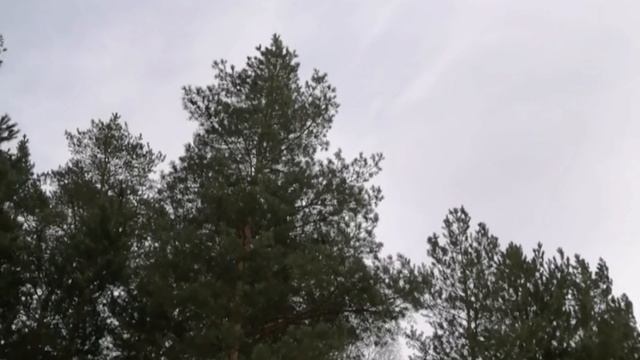 Март - утро года.