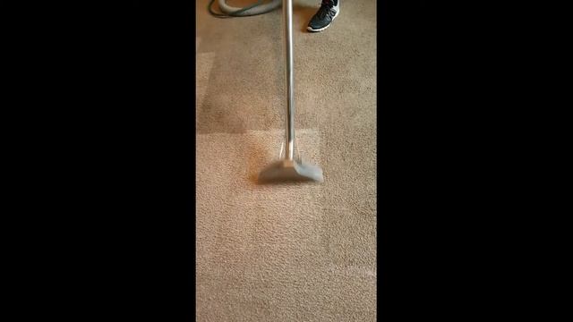 Raf's Cleaning Service Ltd Chadderton Oldham steam carpet cleaning