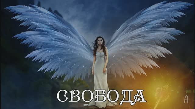 СВОБОДА