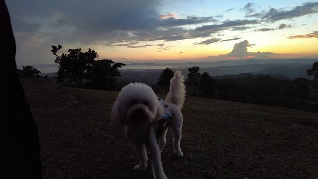 the best overlooking restaurant in tanay -- Epic Parc Resto | chalaforteza