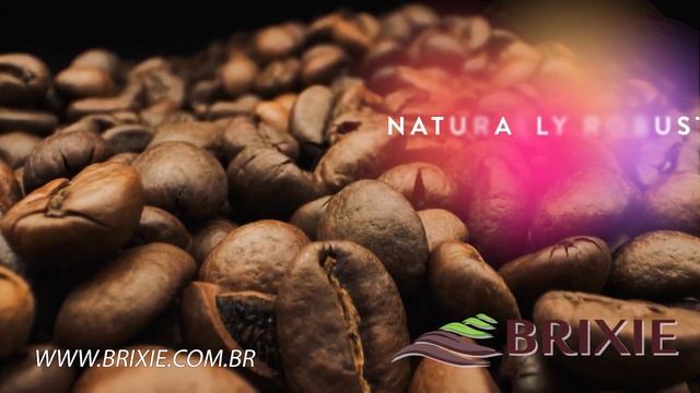 BRIXIE - Premium Coffee from Brazil - Bangla Language _ short Web