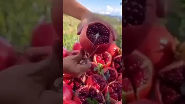 Быстро очистить гранаты