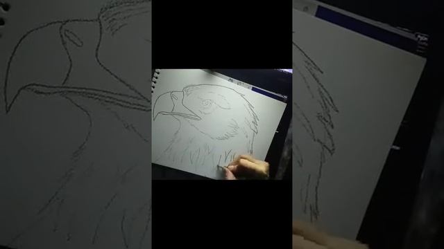 How to draw a Golden Eagle | Eagle Sketch Drawing - Bald Eagle VERY EASY by Pencil