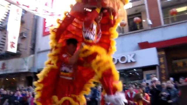 New York NYC Chinese Lion Dance 2016 NYULDDT