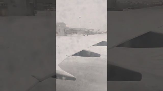 Аэропорт Пулково закрыли из-за сильного снегопада.
Приём и отправка всех рейсов остановлены. Больш