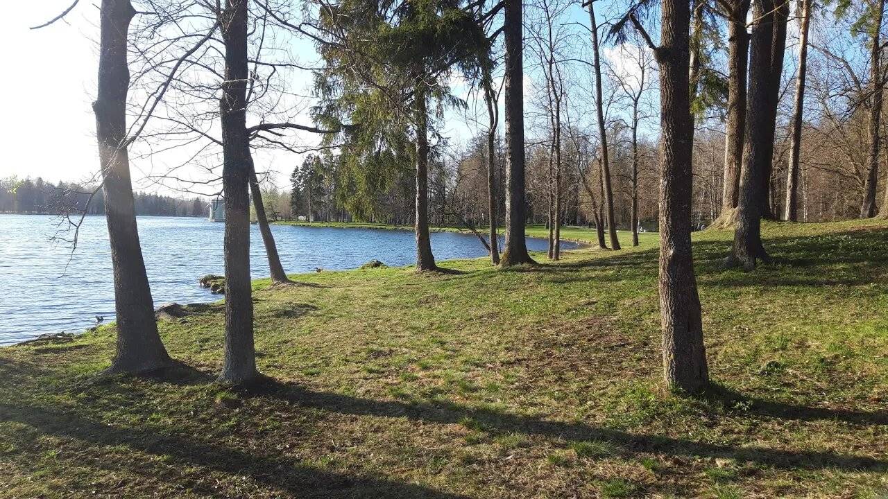 Товарищ. Туроверов Николай Николаевич