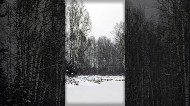Туманная зимняя деревня | Natures Quiet Retreat