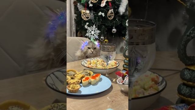 Когда встречаешь в детстве НГ с родителями 🥲 (звук)