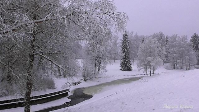 Павловский парк в метель. Звуки пурги.