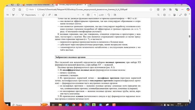 мое обьяснение феномена мышиный рай 25