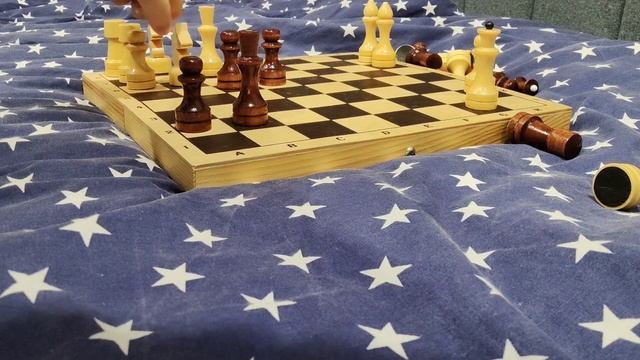 шахматы