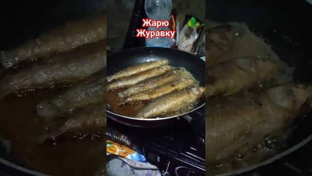 Жаренная Журавка. Мобилизованные готовят в блиндаже морскую рыбу Журавка. Мы из Краснодара