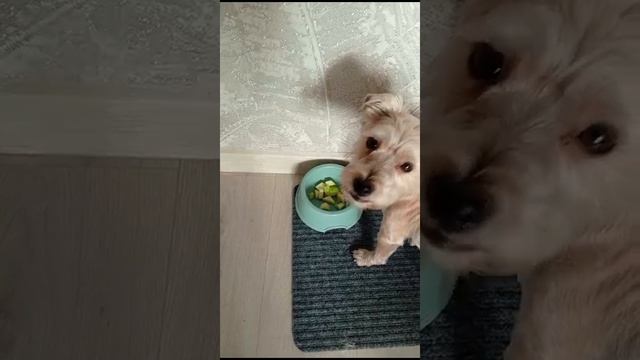 1000027971.mp4