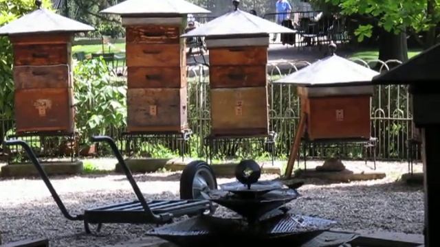 Bee Yard at the Jardin du Luxembourg