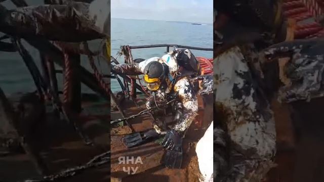 Так выглядят водолазы после погружения в море с мазутом.