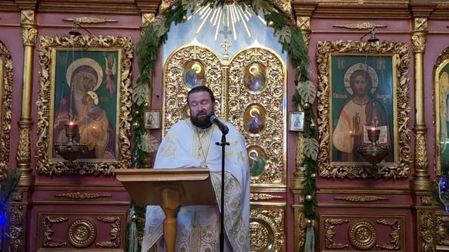 Проповедь протоиерея Александра Якушечкина в Неделю по Рождестве Христовом (12.01.2025)
