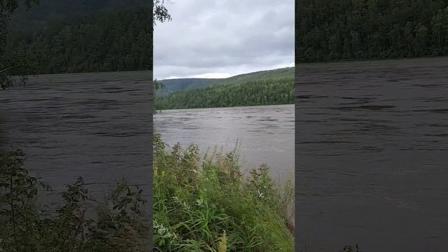 Весна.mp4