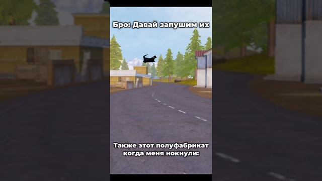 Типичный тиммейт)
