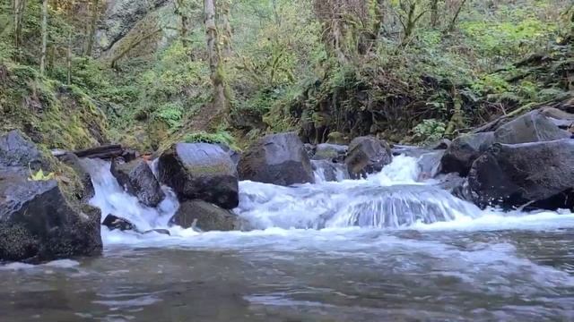 ПРИЧИНЫ НЕУДОВЛЕТВОРЕННОСТЬЮ жизнью."УЩЕРБНОСТЬ".