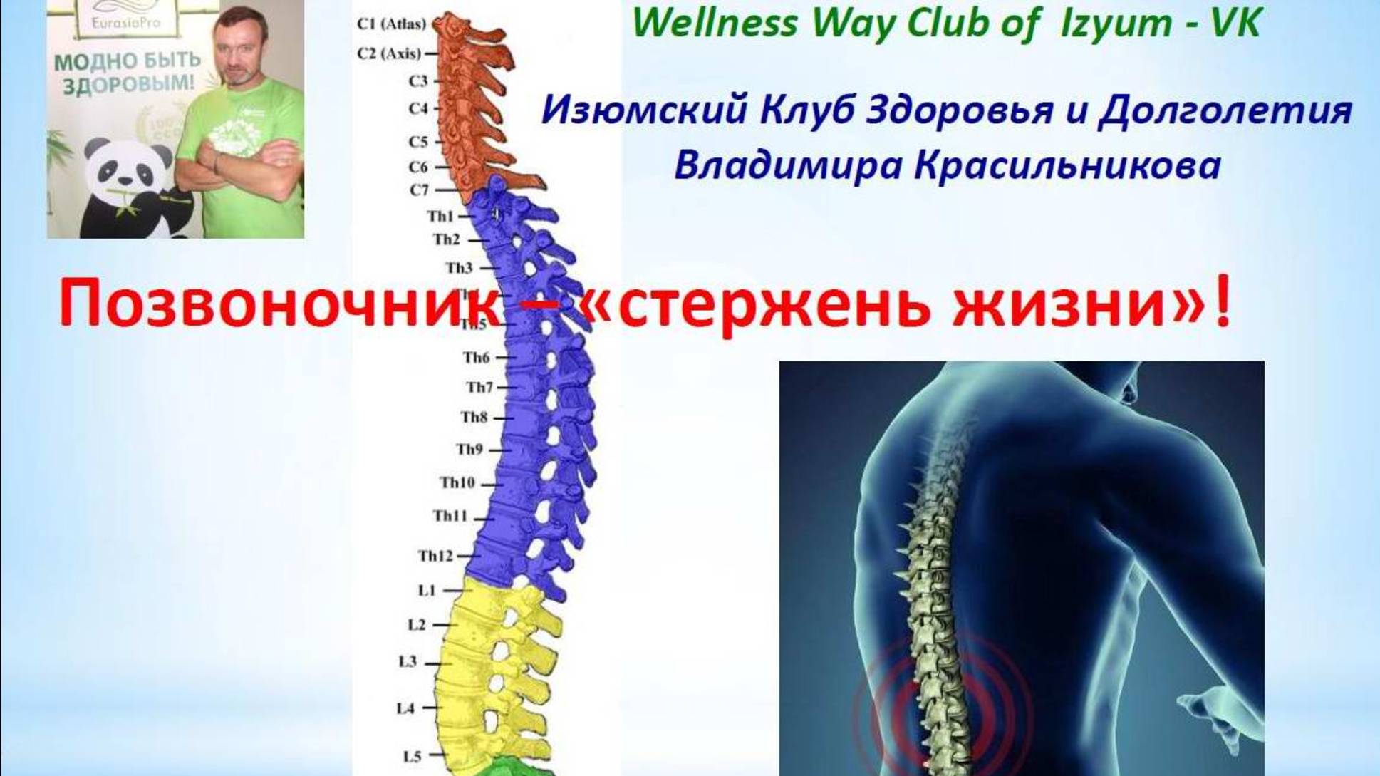 Позвоночник - Стержень жизни! - слайд-шоу мастер-класса в Изюме, апрель 2016 г.