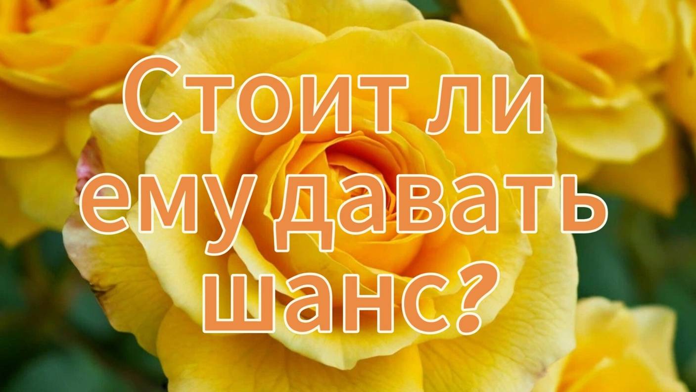 Стоит ли ему давать шанс: Да или Нет?