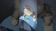Судьба такая