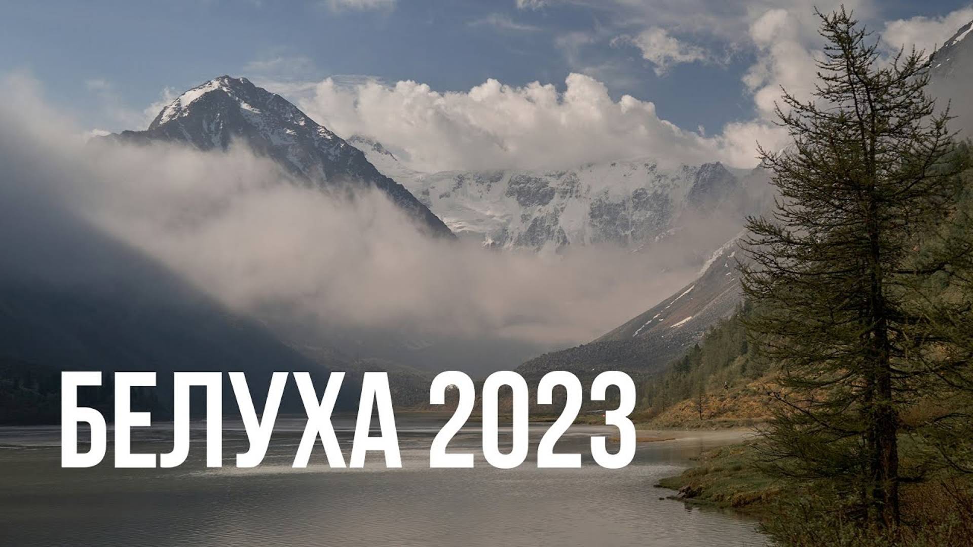 БЕЛУХА 2023