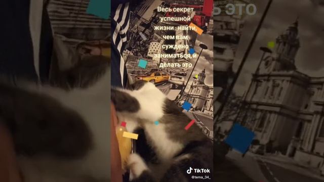 СЕККРЕТ УСПЕШНОЙ ЖИЗНИ.mp4