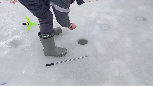 Светлые Горы Форель3 12. 01.2025г.