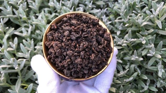 Китайский элитный чай Хун Чжень Луо Золотая улитка