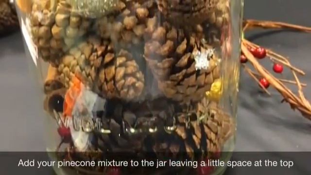 Cranberry and Pinecone Centerpiece