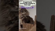 Сказали помыть посуду