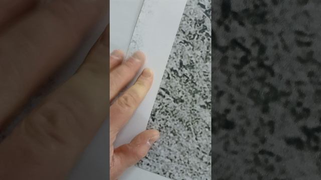 1000092801.mp4