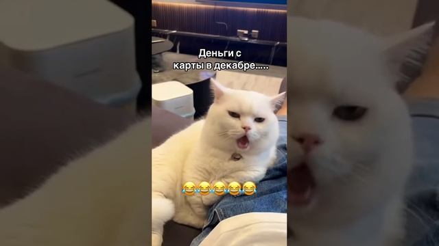 Деньги с карты в декабре...