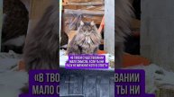 Мало смысла