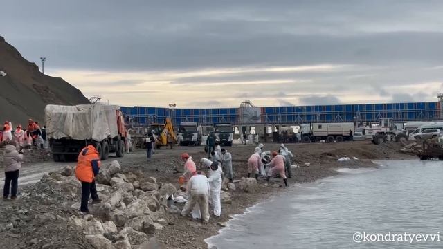 Кондратьев показал, как убирают мазут в Черном море