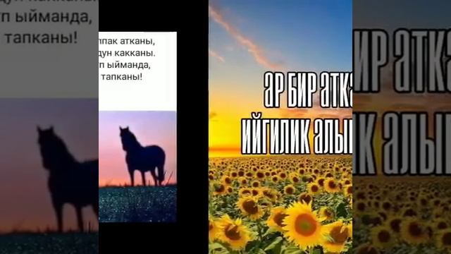 Кутман. Тан