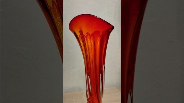 1000019244.mp4