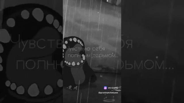 vkclips_20250108014412