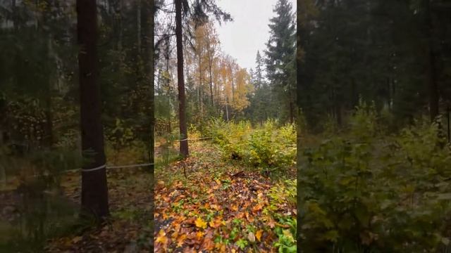 Продажа. Земельный участок ИЖС 28 соток. Московская область, Одинцовский р-н, ДПК «Радио 1».