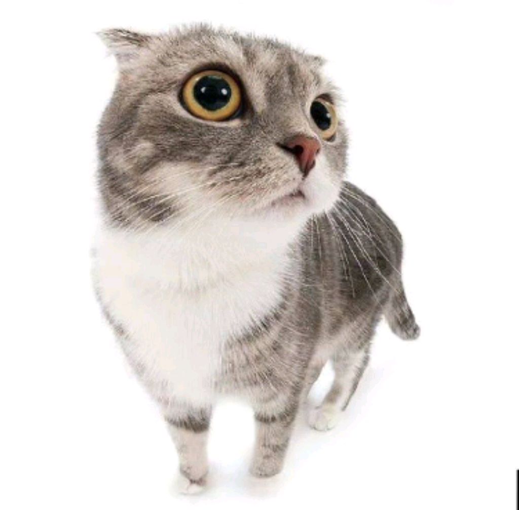 эфир с дашай