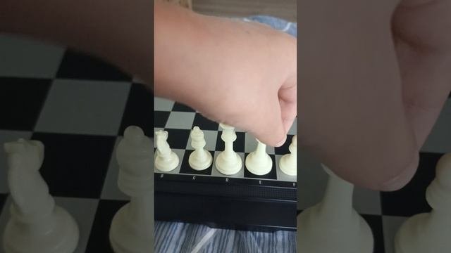 как раставлять шахматы ♟️
